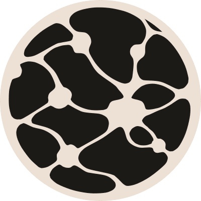 Mycelium Finance
